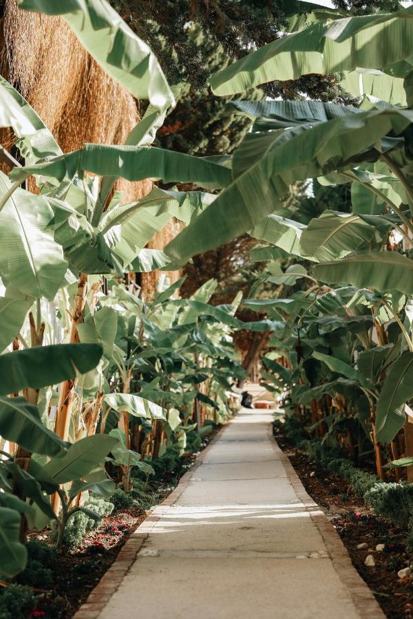 Maja Luxury Cesme Hotel Exterior photo